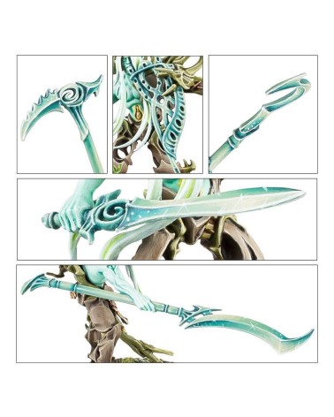 AOS: SYLVANETH - TREE-REVENANTS