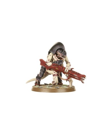 40K: TYRANIDS - HIVE GUARD