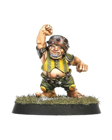 BLOOD BOWL: HALFLING TEAM - THE GREENFIELD GRASSHUGGERS
