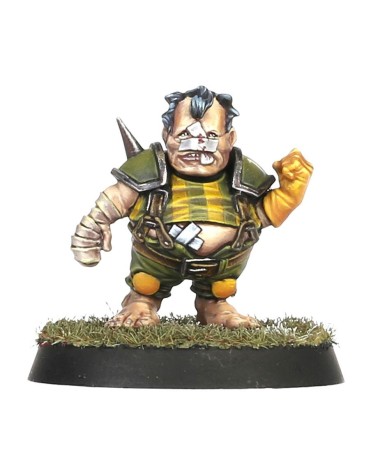 BLOOD BOWL: HALFLING TEAM - THE GREENFIELD GRASSHUGGERS