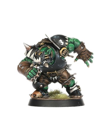 BLOOD BOWL: BLACK ORC TEAM - THE THUNDER VALLEY GREENSKINS
