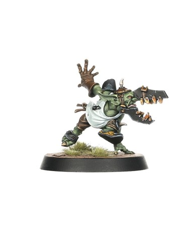 BLOOD BOWL: BLACK ORC TEAM - THE THUNDER VALLEY GREENSKINS