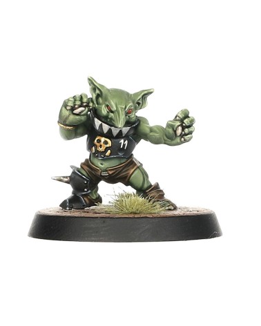 BLOOD BOWL: BLACK ORC TEAM - THE THUNDER VALLEY GREENSKINS
