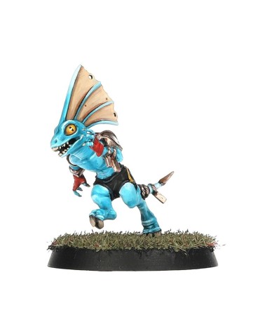 BLOOD BOWL: LIZARDMEN TEAM - GWAKA'MOLI CRATER GATORS