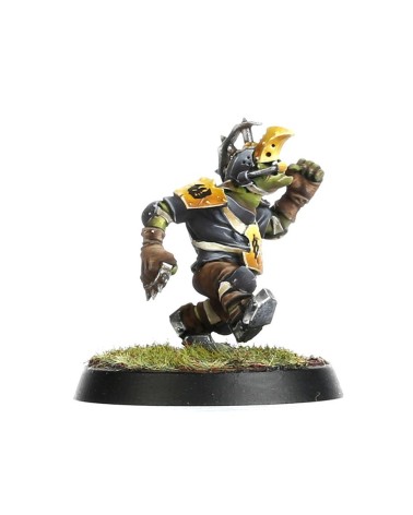 BLOOD BOWL: GOBLIN TEAM - THE SCARCRAG SNIVELLERS