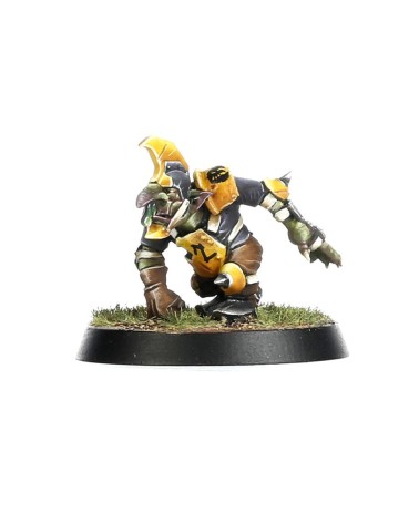 BLOOD BOWL: GOBLIN TEAM - THE SCARCRAG SNIVELLERS