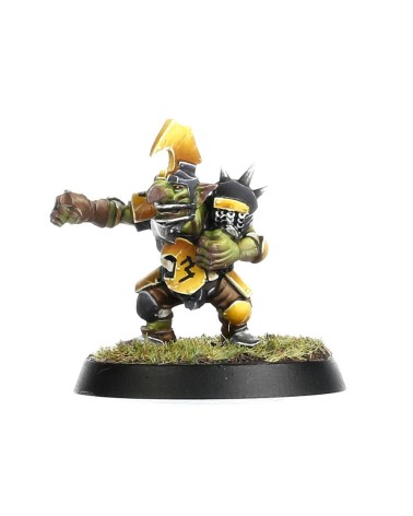 BLOOD BOWL: GOBLIN TEAM - THE SCARCRAG SNIVELLERS