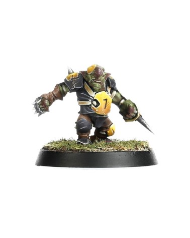 BLOOD BOWL: GOBLIN TEAM - THE SCARCRAG SNIVELLERS