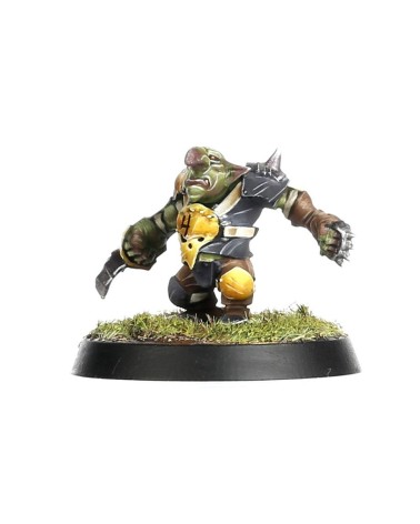 BLOOD BOWL: GOBLIN TEAM - THE SCARCRAG SNIVELLERS