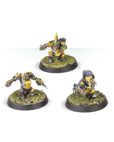 BLOOD BOWL: GOBLIN TEAM - THE SCARCRAG SNIVELLERS