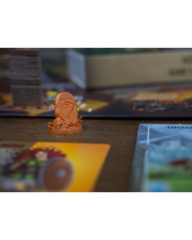 FATE: DEFENSORES DE GRIMHEIM FATE: DEFENSORES DE GRIMHEIM