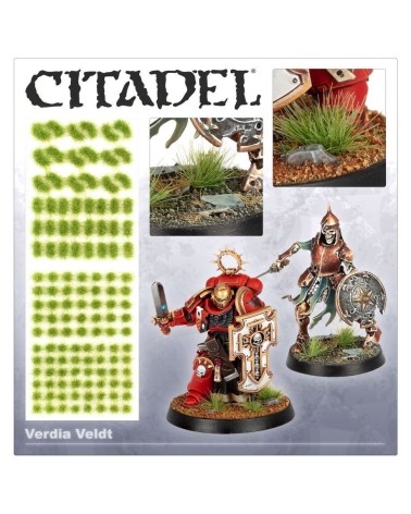 CITADEL COLOUR TUFTS: VERDIA VELDT | Comprar en Troll Cave