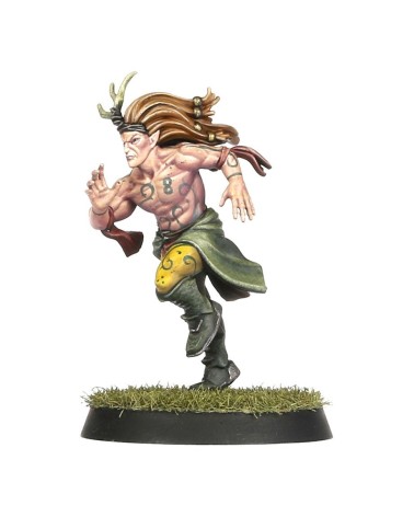 BLOOD BOWL: WOOD ELF TEAM - THE ATHELORN AVENGERS