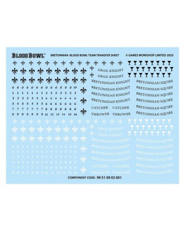 BLOOD BOWL: BRETONIAN TEAM - THE BRIONNE BARONS