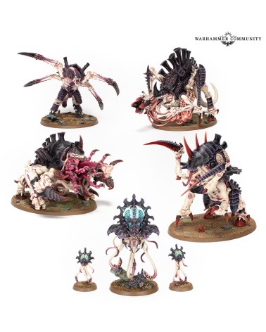 40K: TYRANIDS - CRUSHER STAMPEDE BATTLEFORCE