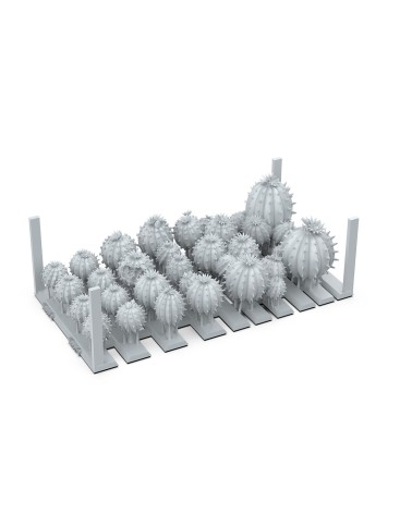 BARREL CACTUS – AK BASING BITS