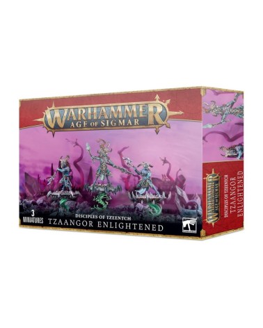 AOS: DISCIPLES OF TZEENTCH - TZAANGORS ENLIGHTNED