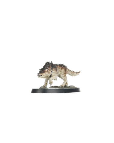 KILL TEAM: WOLF SCOUT