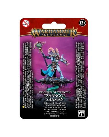 AOS: DISCIPLES OF TZEENTCH - TZAANGOR SHAMAN