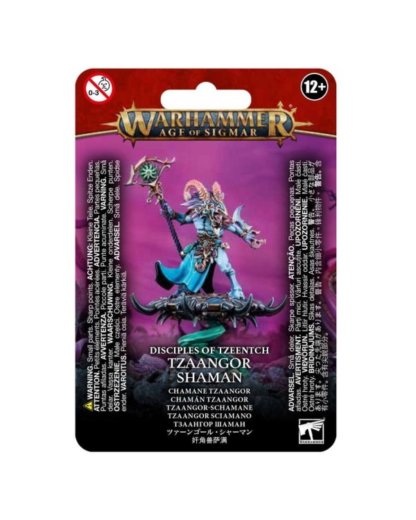 AOS: DISCIPLES OF TZEENTCH - TZAANGOR SHAMAN