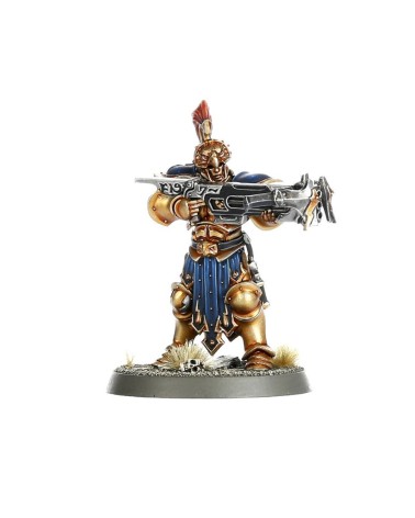 AOS: STORMCAST ETERNALS - VANGUARD-RAPTORS