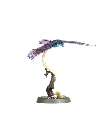 AOS: STORMCAST ETERNALS - VANGUARD-RAPTORS