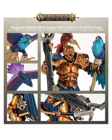 AOS: STORMCAST ETERNALS - VANGUARD-RAPTORS