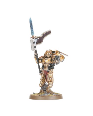 40K: BLOOD ANGELS - SANGUINARY GUARD