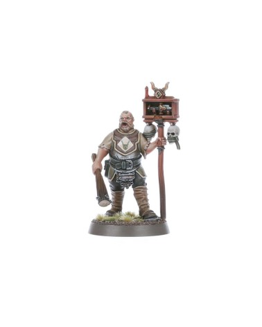 AOS: CITIES OF SIGMAR - FREEGUILD STEELHELMS