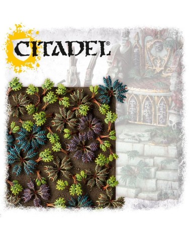 CITADEL BARBED BRACKEN