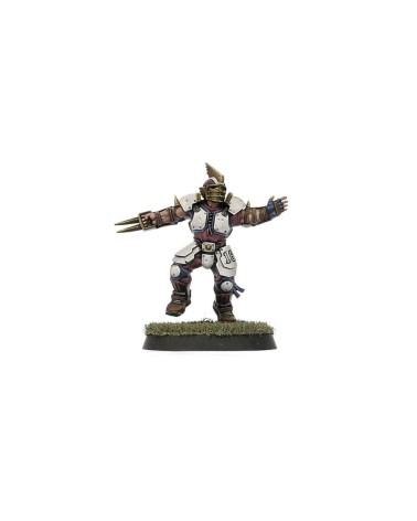 BLOOD BOWL: OLD WORLD ALLIANCE TEAM
