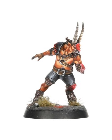 BLOOD BOWL: CHAOS CHOSEN TEAM