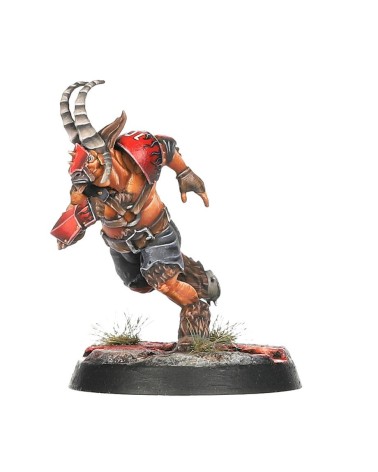 BLOOD BOWL: CHAOS CHOSEN TEAM