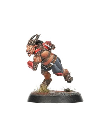 BLOOD BOWL: CHAOS CHOSEN TEAM
