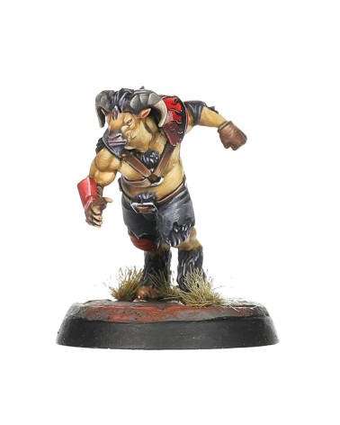 BLOOD BOWL: CHAOS CHOSEN TEAM