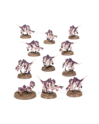 WH40K INTRODUCTORY SET (ESP)