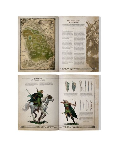 TOW: WOOD ELF REALMS - ARCANE JORNAL