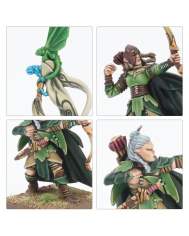TOW: WOOD ELF REALMS - BATTALION