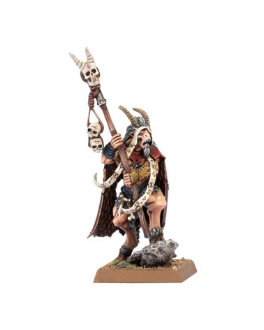 TOW: BEASTMEN BRAYHERDS - BEASTMEN SHAMAN