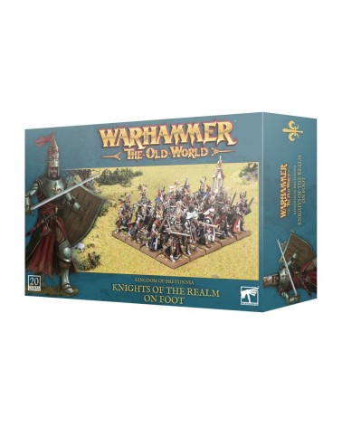 TOW: KINGDOM OF BRETONNIA - KNIGHTS OF THE REALM ON FOOT.