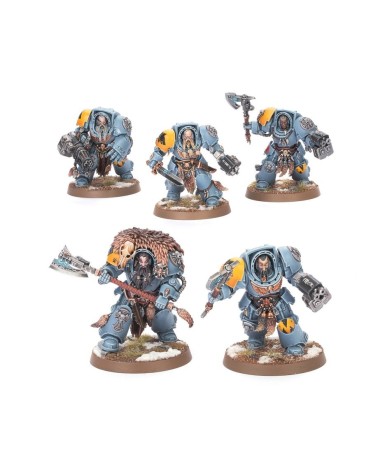 40K: SPACE WOLVES - WOLF GUARD TERMINATORS